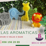 480383268 10235638038309226 3182905427853265664 n rbuvlqj27gv2o361d796h8tfs9lvhf9tsnjjrv4db0