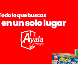 Centro Comercial Ayala Amaya