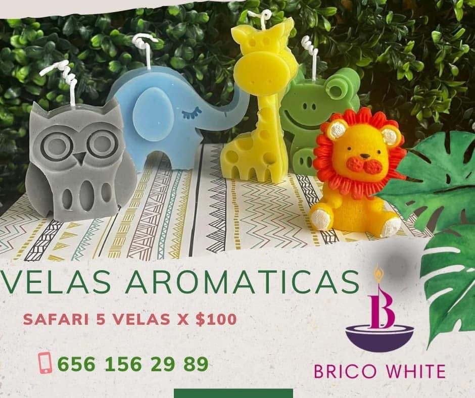 single listings 1 480383268 10235638038309226 3182905427853265664 n