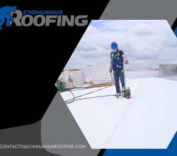 single listings 14 Chihuahua Roofing