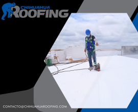 Directorio 25 Chihuahua Roofing