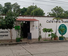 Directorio 37 Green Coffee Berriozábal